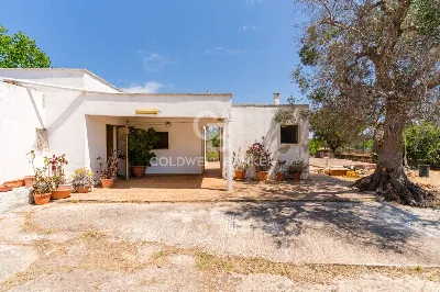 Casa Indipendente in vendita a San Vito de... - foto 1