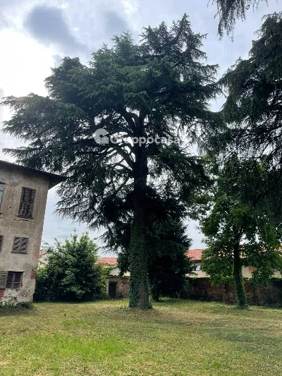 Villa in vendita a Mesero - foto 7