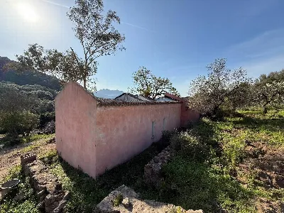 Rustico/Casale in vendita a Viddalba - foto 6