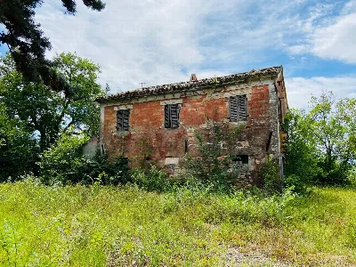 Rustico/Casale in vendita a Belvedere Ostr... - foto 1
