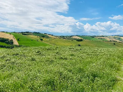 Rustico/Casale in vendita a Belvedere Ostr... - foto 10