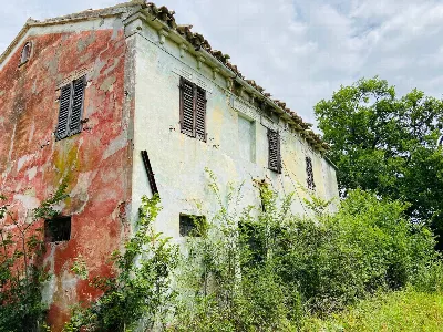 Rustico/Casale in vendita a Belvedere Ostr... - foto 3