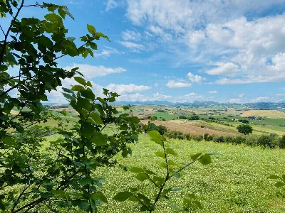 Rustico/Casale in vendita a Belvedere Ostr... - foto 4