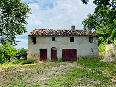 Rustico/Casale in vendita a Belvedere Ostr... - foto 1