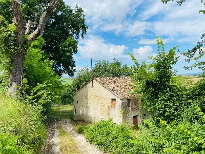 Rustico/Casale in vendita a Belvedere Ostr... - foto 2