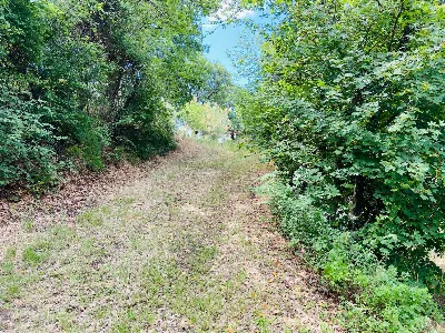 Rustico/Casale in vendita a Belvedere Ostr... - foto 3