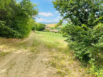 Rustico/Casale in vendita a Belvedere Ostr... - foto 4