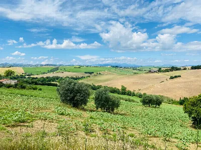 Rustico/Casale in vendita a Belvedere Ostr... - foto 6