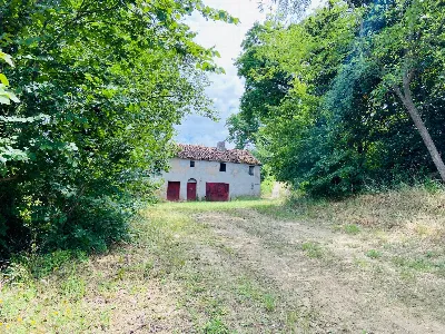 Rustico/Casale in vendita a Belvedere Ostr... - foto 7