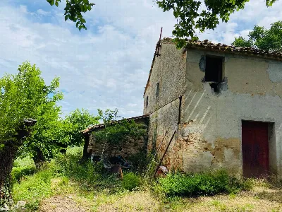 Rustico/Casale in vendita a Belvedere Ostr... - foto 8