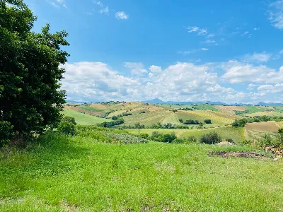 Rustico/Casale in vendita a Belvedere Ostr... - foto 2