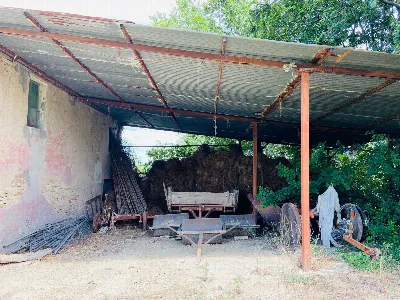 Rustico/Casale in vendita a Belvedere Ostr... - foto 3