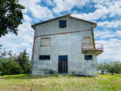 Rustico/Casale in vendita a Belvedere Ostr... - foto 4