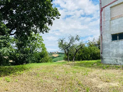 Rustico/Casale in vendita a Belvedere Ostr... - foto 5