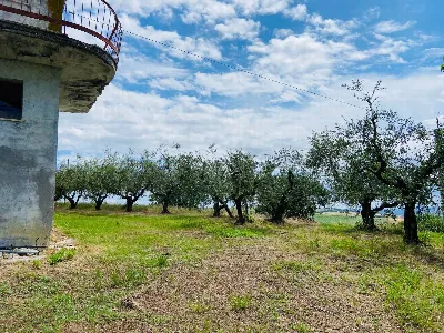Rustico/Casale in vendita a Belvedere Ostr... - foto 6