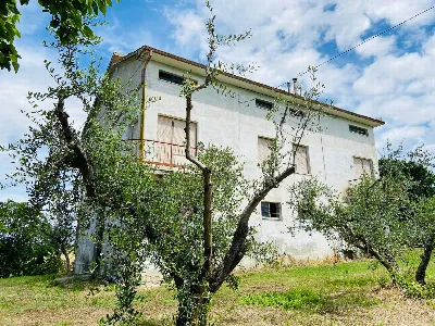 Rustico/Casale in vendita a Belvedere Ostr... - foto 7