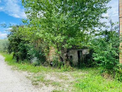 Rustico/Casale in vendita a Belvedere Ostr... - foto 3