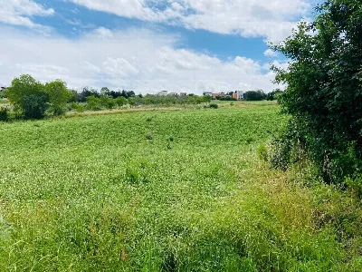 Rustico/Casale in vendita a Belvedere Ostr... - foto 6