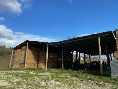 Rustico/Casale in vendita a Ostra - foto 2