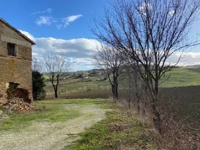 Rustico/Casale in vendita a Ostra - foto 4