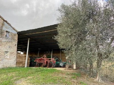 Rustico/Casale in vendita a Ostra - foto 9