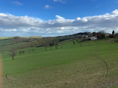 Rustico/Casale in vendita a Belvedere Ostr... - foto 10