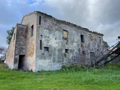Rustico/Casale in vendita a Belvedere Ostr... - foto 5