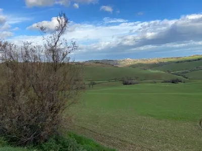 Rustico/Casale in vendita a Belvedere Ostr... - foto 9