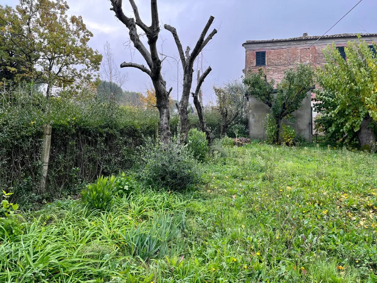 Rustico/Casale in vendita a Belvedere Ostrense - foto 4