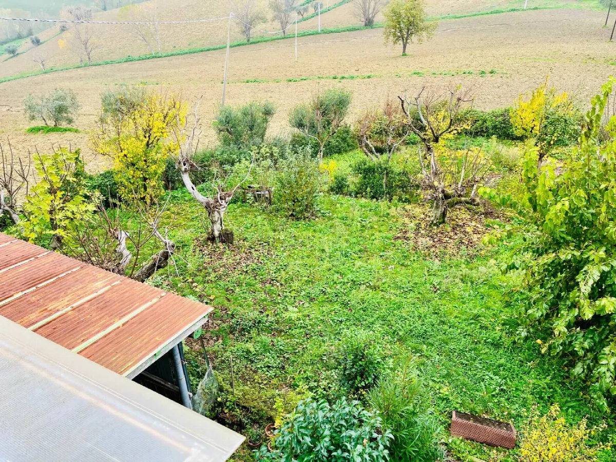 Rustico/Casale in vendita a Belvedere Ostrense - foto 5