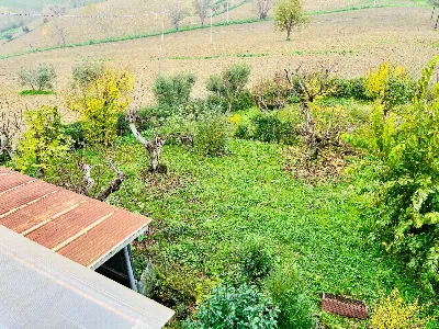 Rustico/Casale in vendita a Belvedere Ostr... - foto 5