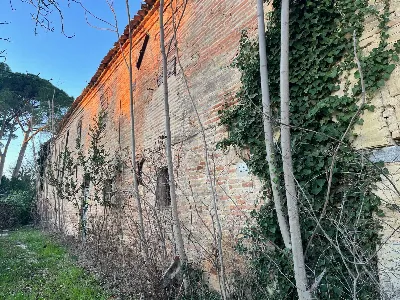 Rustico/Casale in vendita a Monte San Vito - foto 2