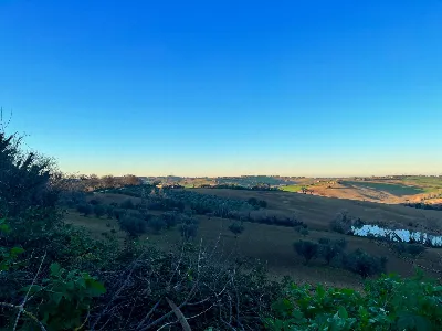 Rustico/Casale in vendita a Monte San Vito - foto 7