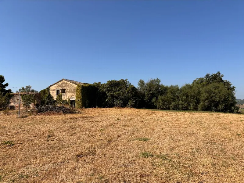 Rustico/Casale in vendita a Montemarciano - foto 1