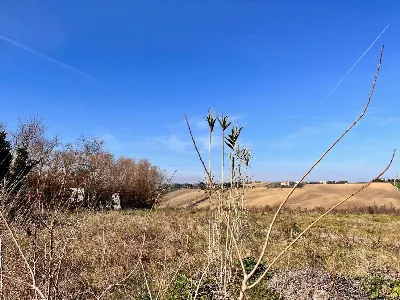 Rustico/Casale in vendita a Montemarciano - foto 9