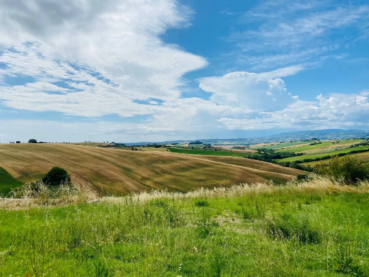 Rustico/Casale in vendita a Belvedere Ostrense - foto 5