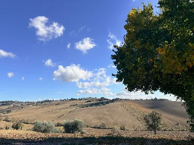 Rustico/Casale in vendita a Belvedere Ostr... - foto 10