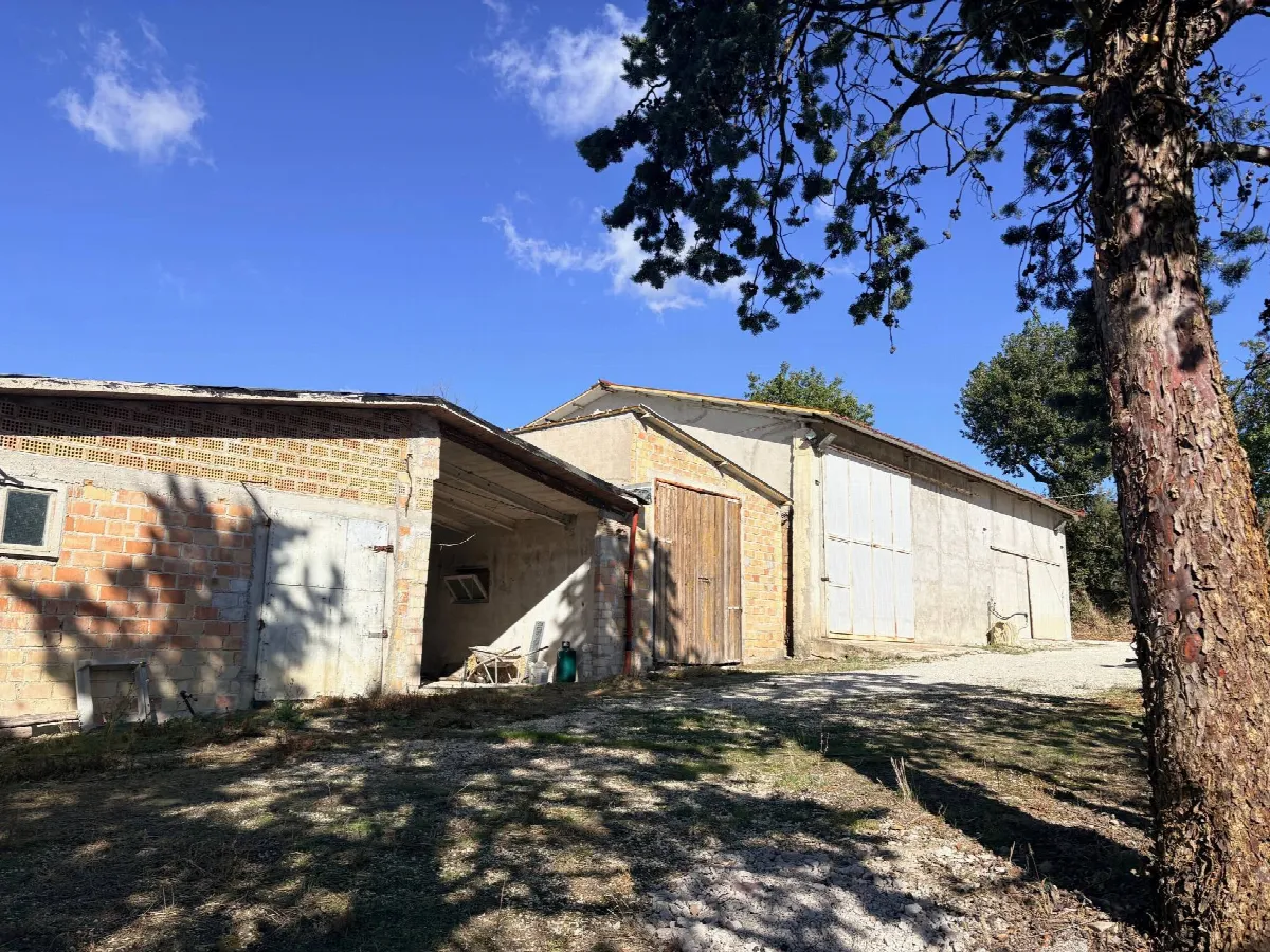 Rustico/Casale in vendita a Belvedere Ostrense - foto 3