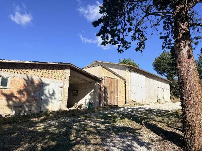 Rustico/Casale in vendita a Belvedere Ostr... - foto 3