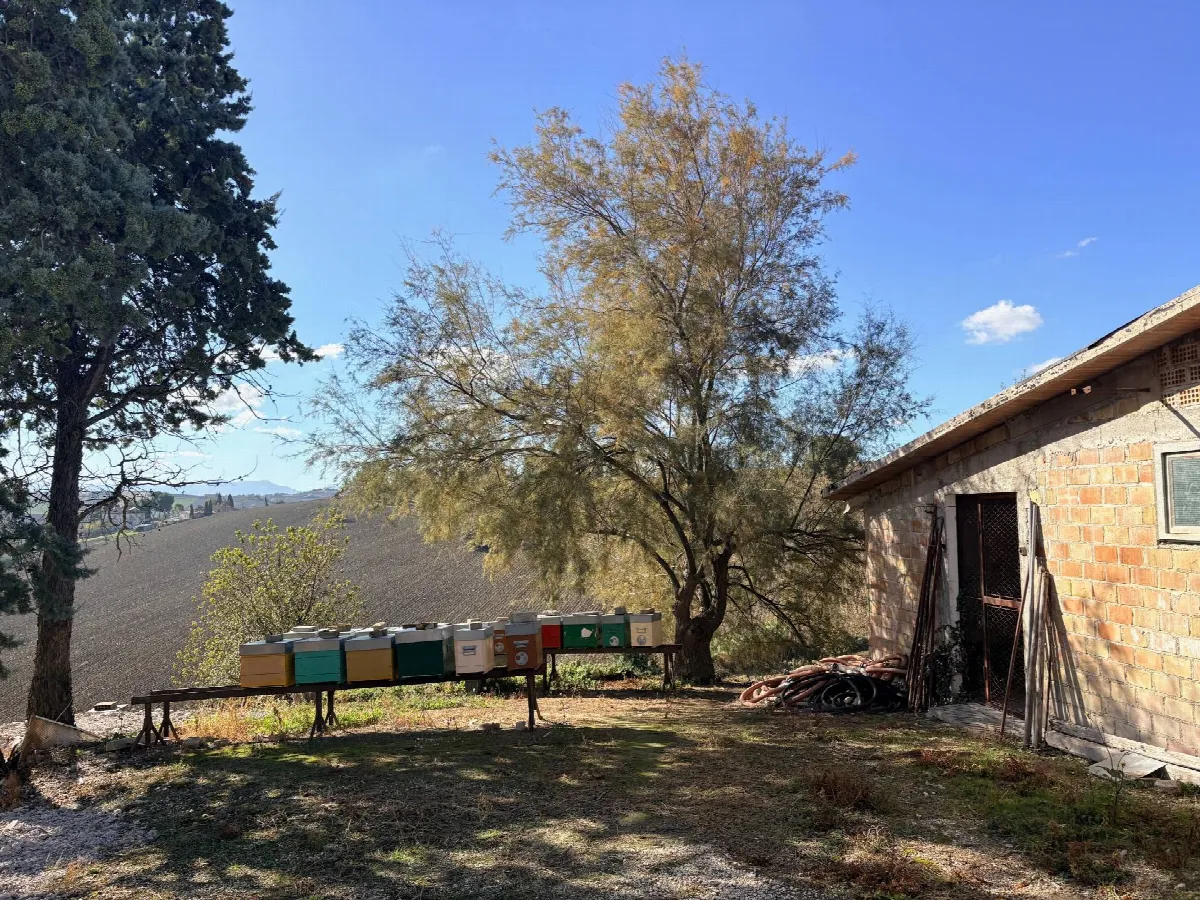 Rustico/Casale in vendita a Belvedere Ostrense - foto 4