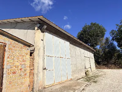 Rustico/Casale in vendita a Belvedere Ostr... - foto 6