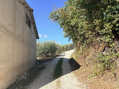 Rustico/Casale in vendita a Belvedere Ostr... - foto 8