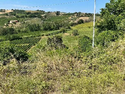 Rustico/Casale in vendita a Staffolo - foto 10