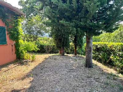 Rustico/Casale in vendita a Staffolo - foto 4
