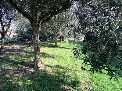 Rustico/Casale in vendita a Chiaravalle - foto 5