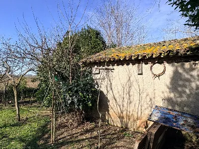 Rustico/Casale in vendita a Chiaravalle - foto 6