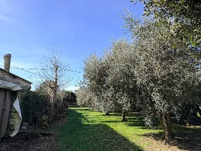 Rustico/Casale in vendita a Chiaravalle - foto 9