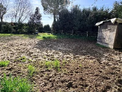 Rustico/Casale in vendita a Chiaravalle - foto 5