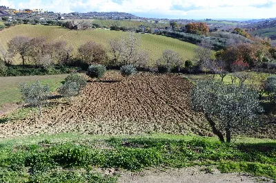 Villa in vendita a Colonnella - foto 5
