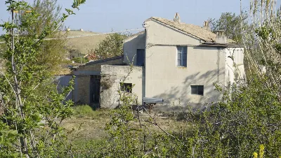 Rustico/Casale in vendita a Offida - foto 8
